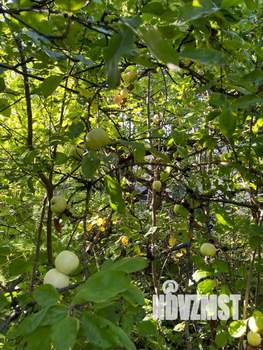 Дом 120м², 2-этажный, участок 5 сот.