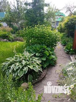 Дом 60м², 2-этажный, участок 8 сот.