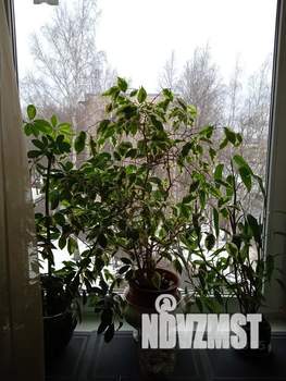Студия квартира, посуточно, 30м2, 4/9 этаж