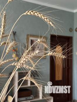 4-к квартира, вторичка, 89м2, 4/4 этаж