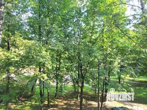 3-к квартира, вторичка, 55м2, 3/5 этаж